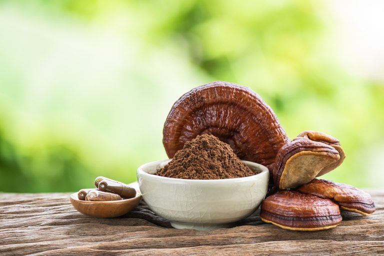 medicinal mushrooms support brain health, immunity, and energy. Here’s how: